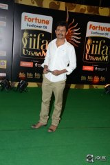 Celebs at IIFA Utsavam 2016